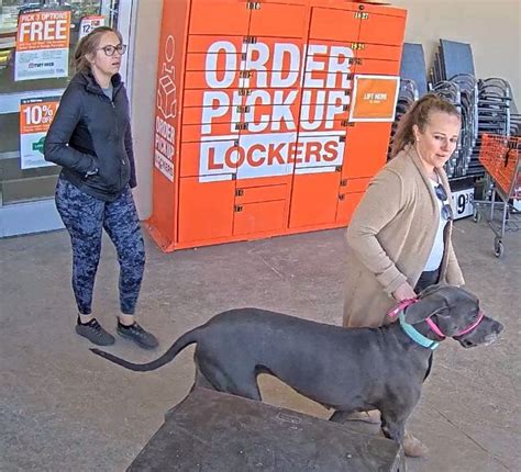 Dog bites customer's face at Evergreen Home Depot